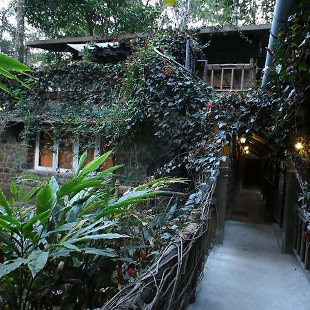 Greenspaces B&B Munnar Exterior foto