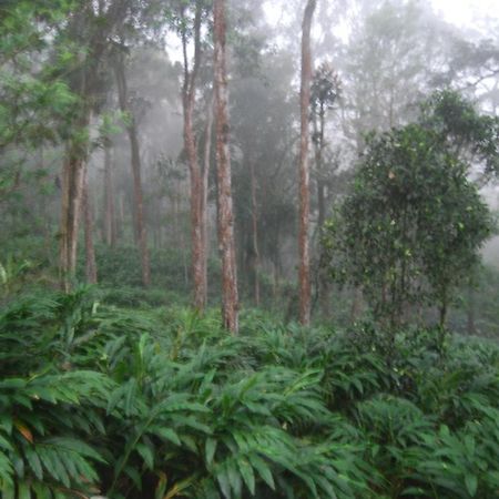 Greenspaces B&B Munnar Exterior foto