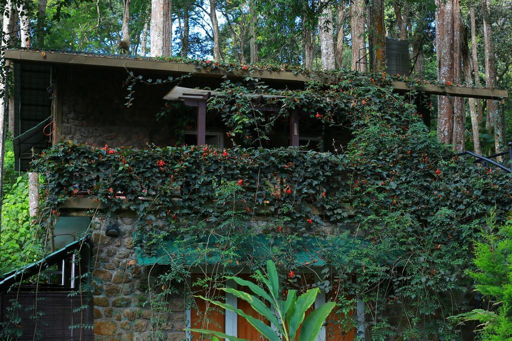 Greenspaces B&B Munnar Exterior foto