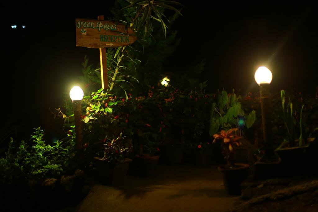 Greenspaces B&B Munnar Exterior foto