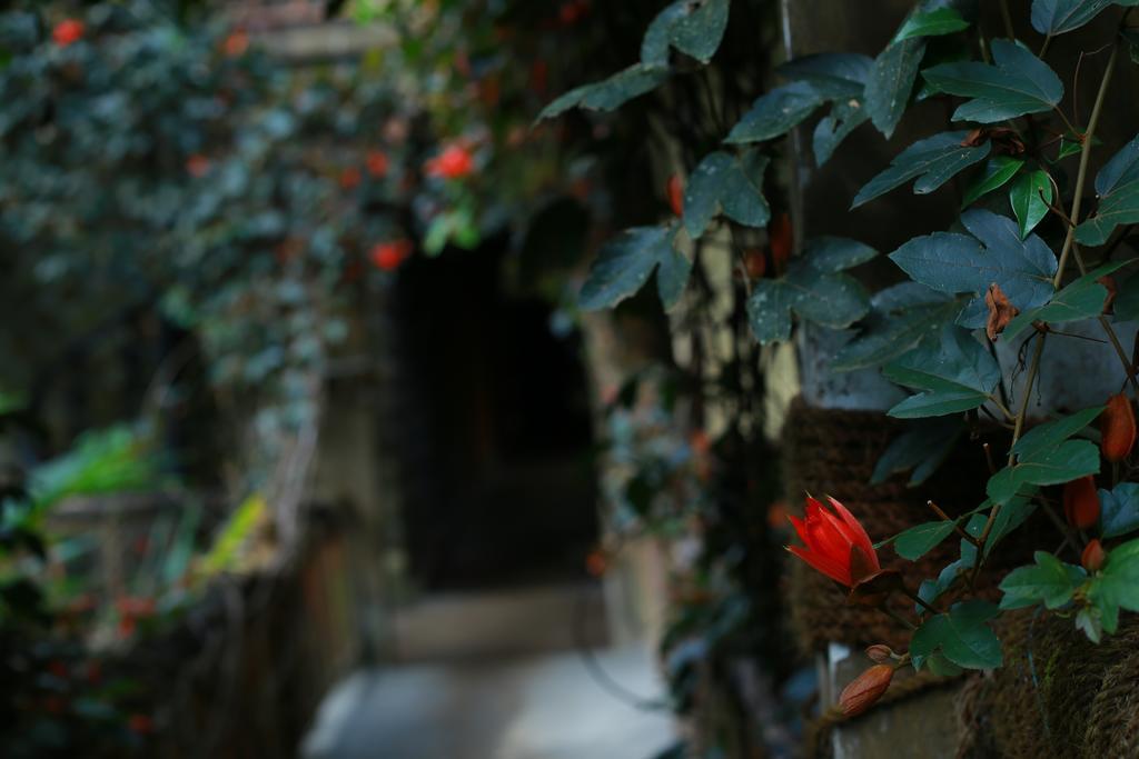 Greenspaces B&B Munnar Exterior foto