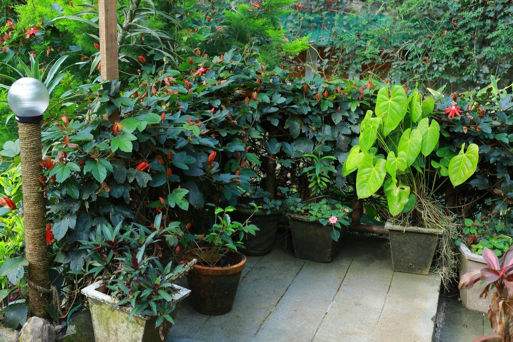 Greenspaces B&B Munnar Exterior foto