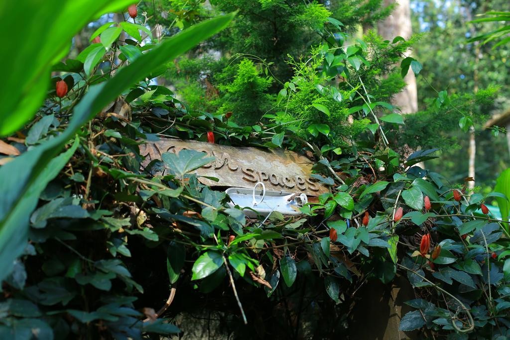 Greenspaces B&B Munnar Exterior foto