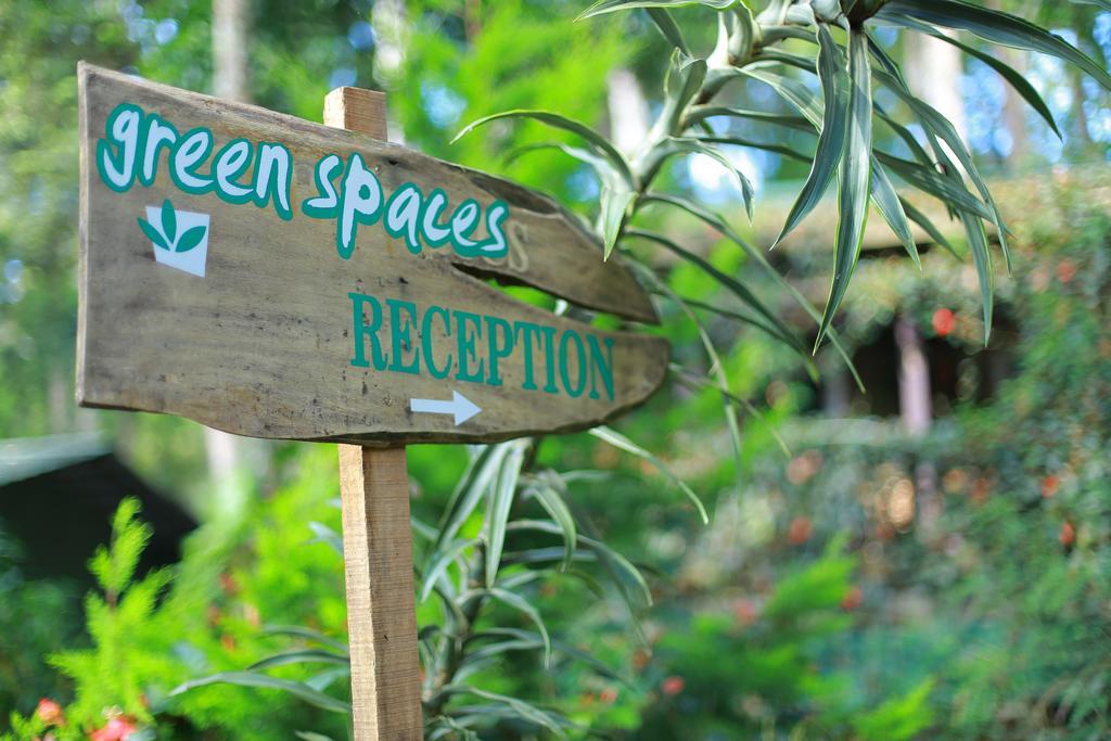 Greenspaces B&B Munnar Exterior foto
