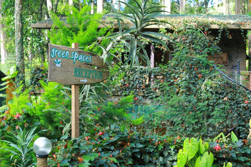 Greenspaces B&B Munnar Exterior foto