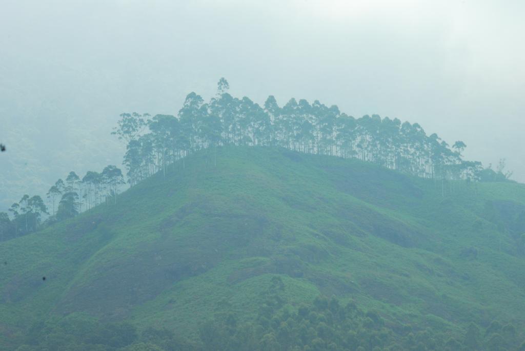 Greenspaces B&B Munnar Exterior foto