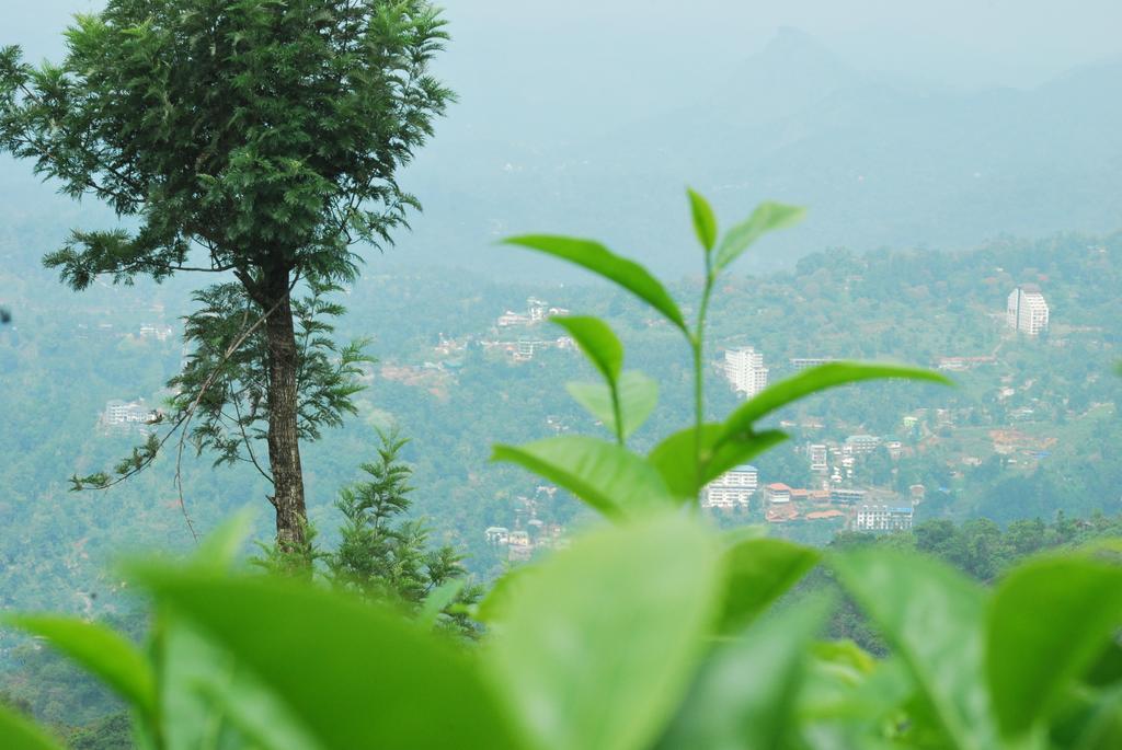Greenspaces B&B Munnar Exterior foto