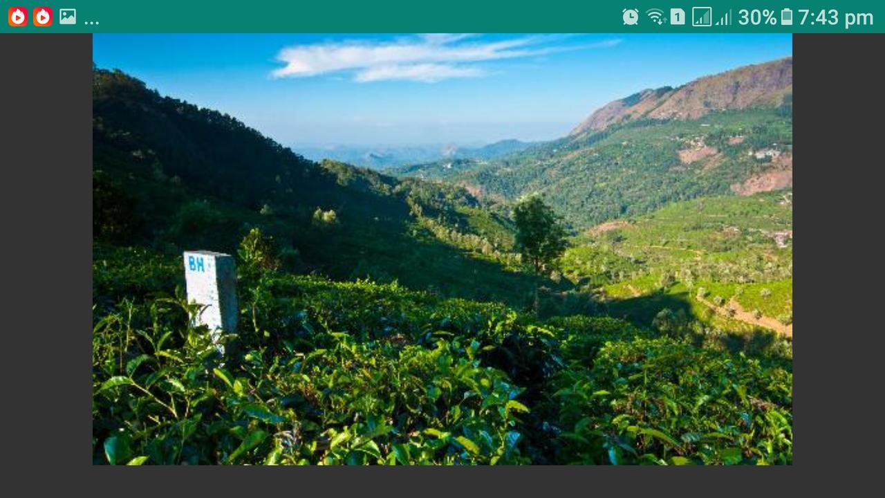 Greenspaces B&B Munnar Exterior foto
