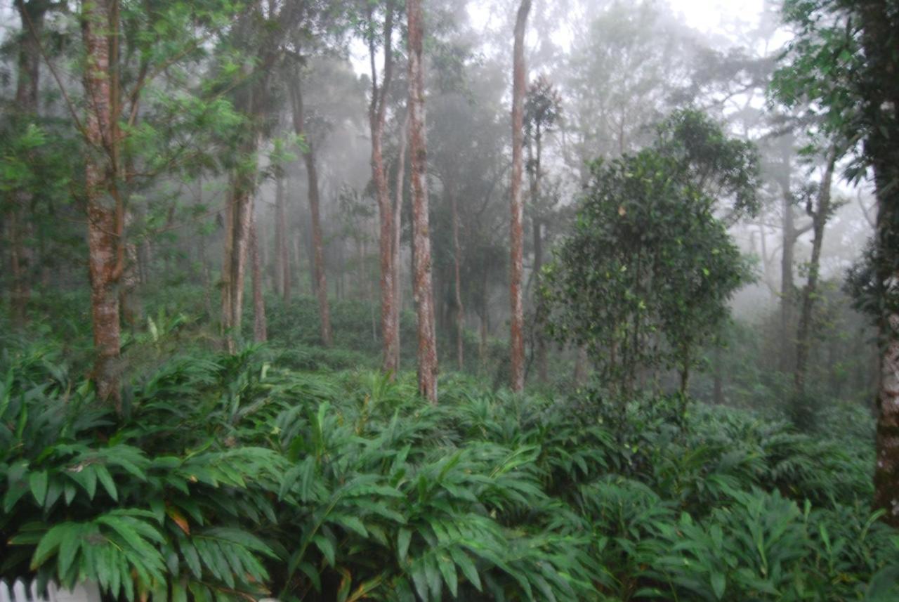 Greenspaces B&B Munnar Exterior foto
